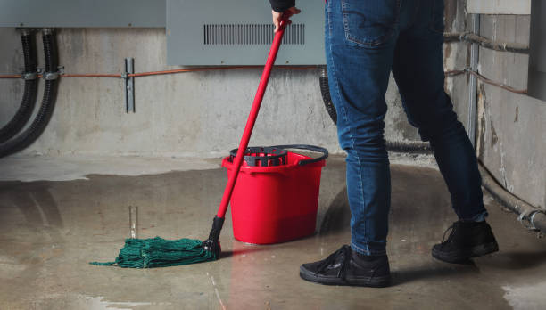 Best Commercial water damage restoration  in Logansport, LA