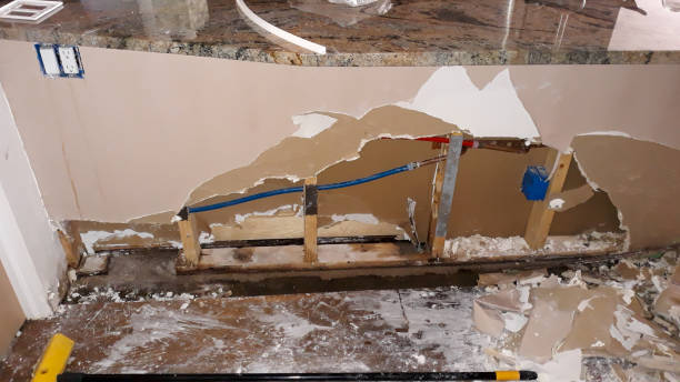 Best Professional water damage repair  in Logansport, LA