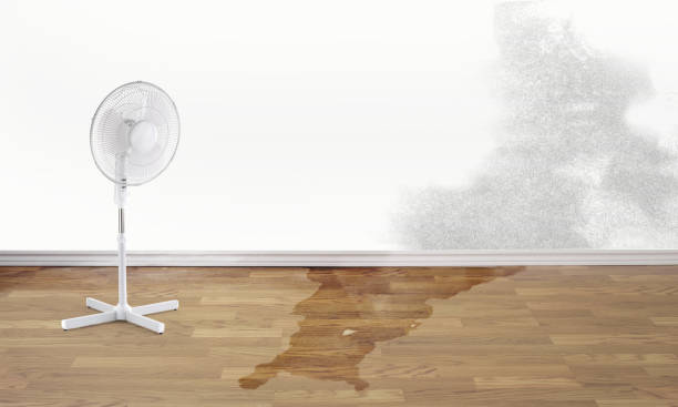 Best Residential water damage restoration  in Logansport, LA