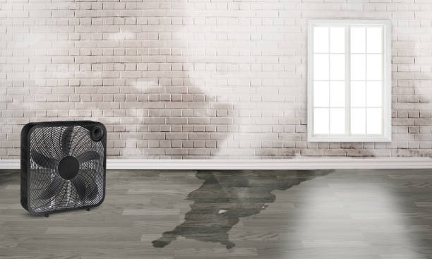 Best Emergency water damage restoration  in Logansport, LA