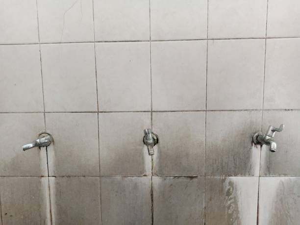 Best Water damage restoration cost  in Logansport, LA