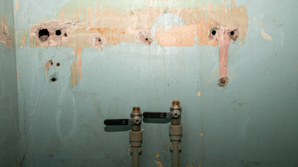 Best Water damage restoration experts  in Logansport, LA