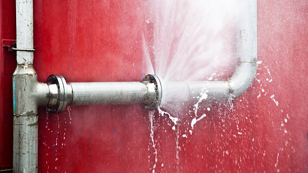 Best Flood damage cleanup  in Logansport, LA