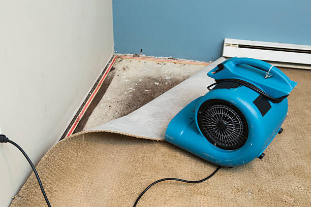 Reliable Logansport, LA Water damage restoration Solutions
